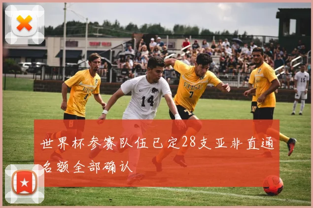 世界杯参赛队伍已定28支亚非直通名额全部确认
