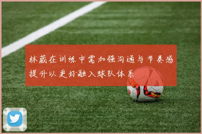 林葳在训练中需加强沟通与节奏感提升以更好融入球队体系